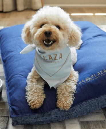 ThePlazaPets_Program-1