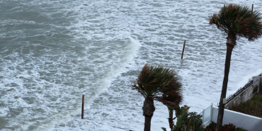 palm-trees-with-the-ocean-surf-2026-01-11-10-25-19-utc-1