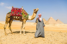 three-pyramids-and-tourist-guide-with-camel-2025-04-04-17-00-35-utc-1