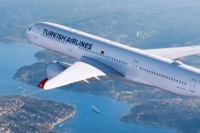 THY Reports Revenue of $7.2 Billion